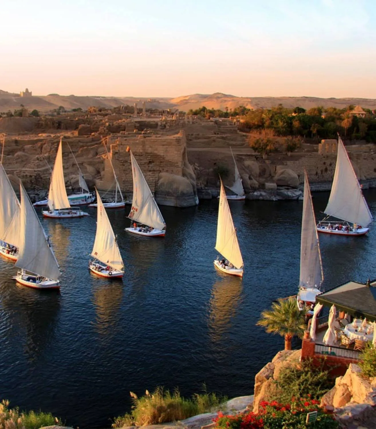 Day Recreational Tours in Aswan